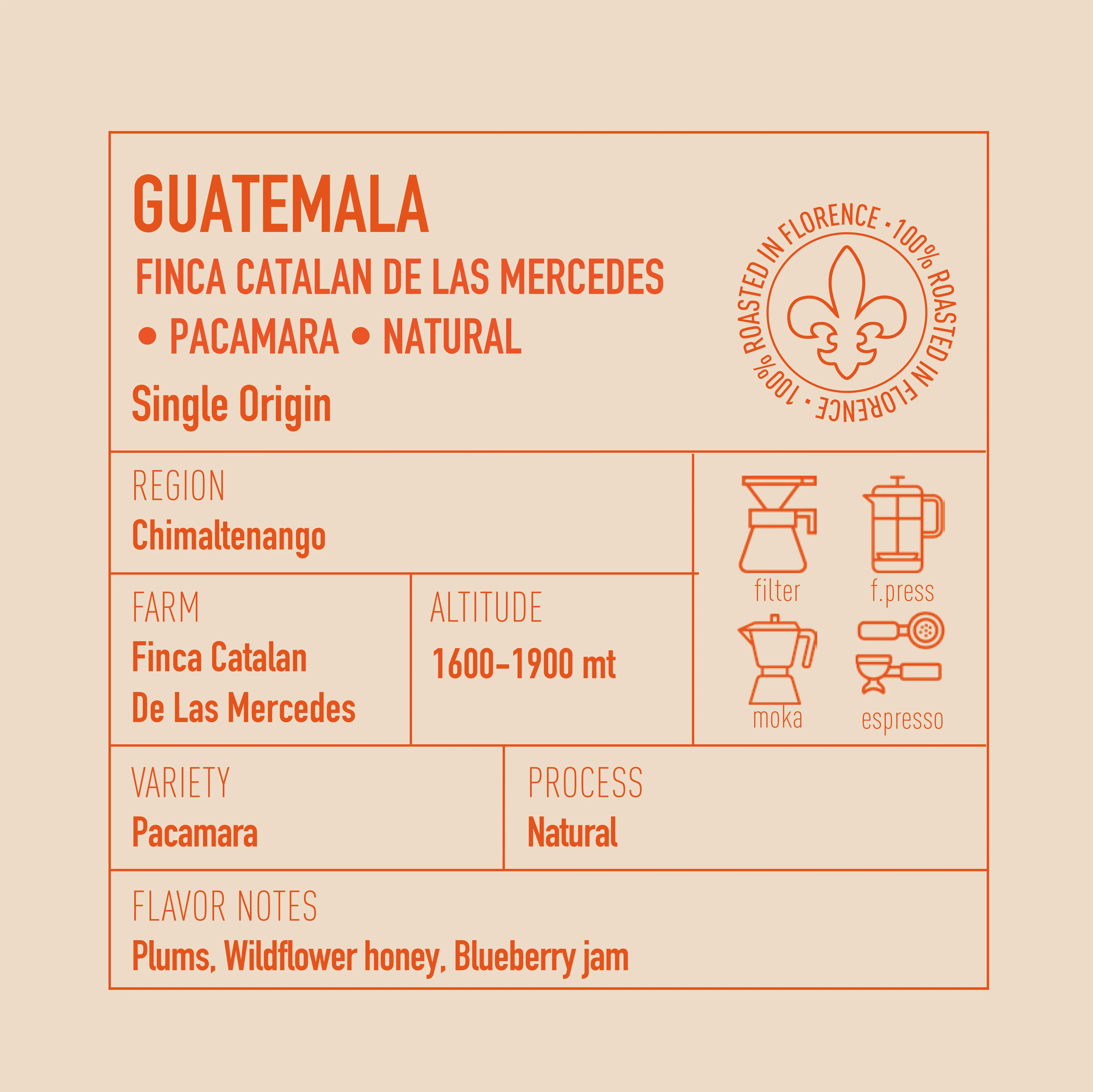 Guatemala Finca Catalan De Las Mercedes Pacamara Naturale - Image 3
